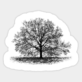 Graphic of a tree Sticker